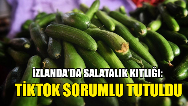 İzlanda'da salatalık kıtlığı: TikTok sorumlu tutuldu