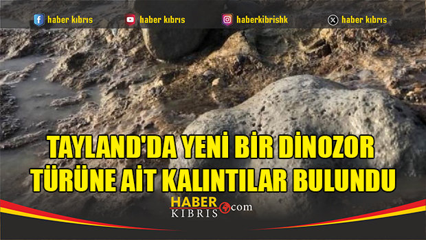 Tayland'da yeni bir dinozor türüne ait kalıntılar bulundu