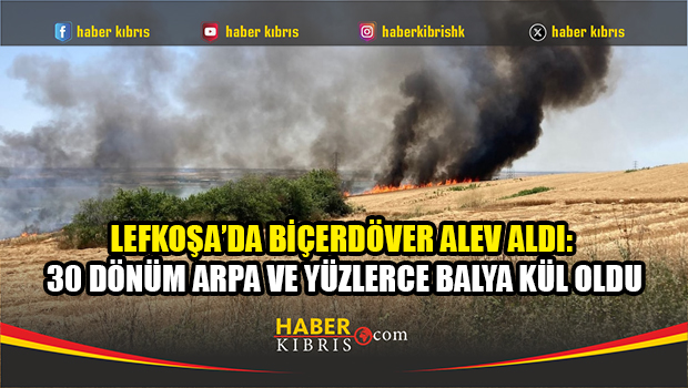 Tarım arazilerinde peş peşe yangınlar: Büyük çapta maddi hasar oluştu