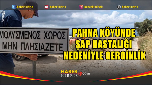 Pahna köyünde şap hastalığı nedeniyle gerginlik
