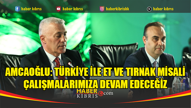 Amcaoğlu: Türkiye ile et ve tırnak misali çalışmalarımıza de
