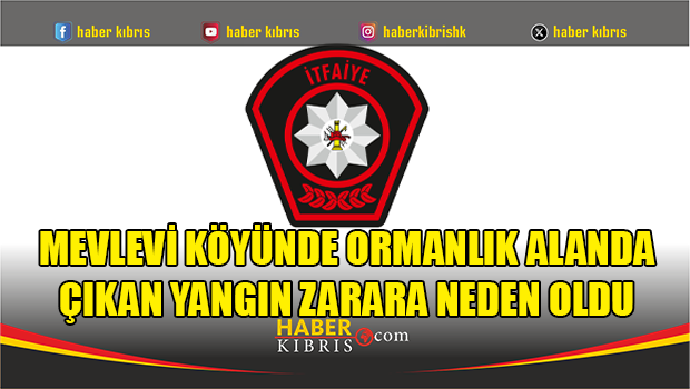 Mevlevi köyünde ormanlık alanda çıkan yangın zarara neden ol